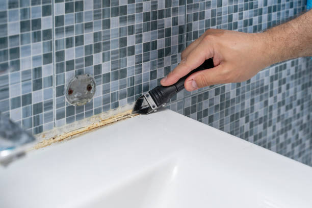 Best Mold Cleaning Services  in Shelbyville, KY